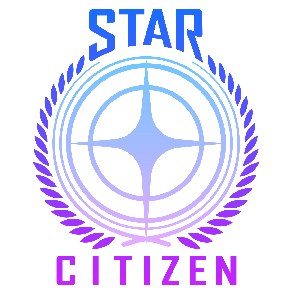 Organisation Star Citizen